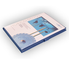 Sonderformat Mappe bedrucken